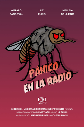 Panic in the Radio Poster