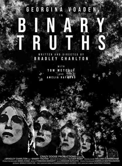 Binary Truths Poster