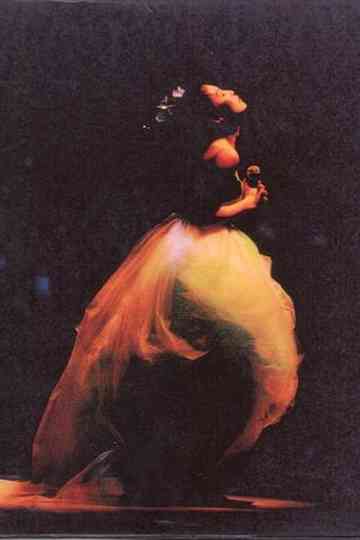 彭羚：1996完全因你演唱会 Poster