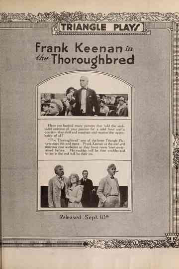 The Thoroughbred Poster