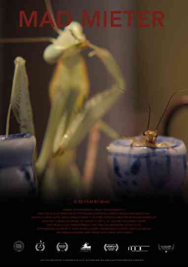 Mad Mieter Poster