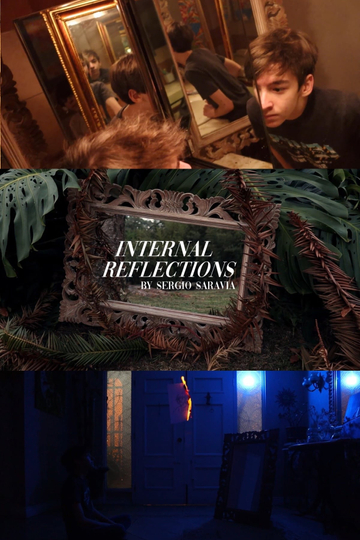 Internal Reflections Poster