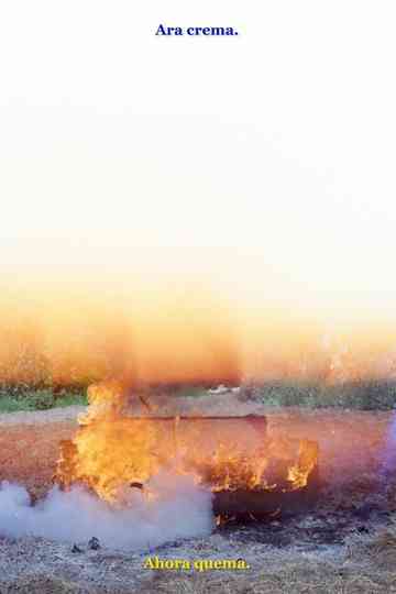 Ara crema Poster