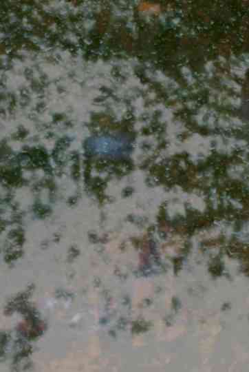 Highbushes burning Poster