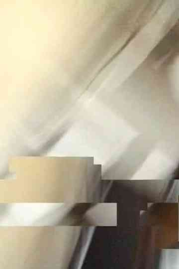 Domestic as long as it lasts Poster