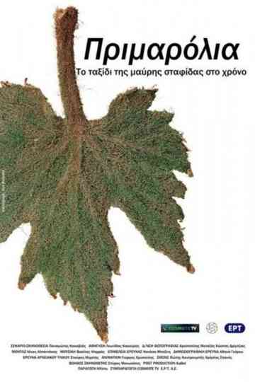 Primarolia Poster