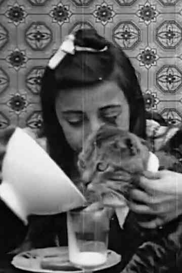 Pussys Breakfast Poster