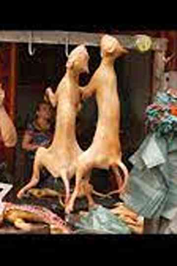 Dining on Dogs in Yulin Poster