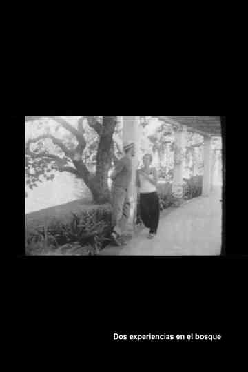 Dos experiencias en el bosque Poster
