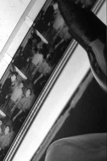 Película Lava Poster