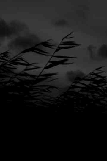 That Which Will Rise from Wind Poster