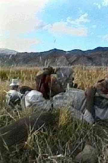 Gongbus Happy Life Poster