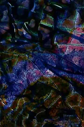 Neti Neti Part III Poster