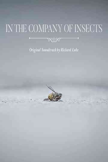 In the Company of Insects Poster