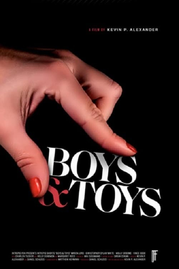 Boys  Toys Poster