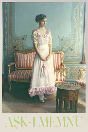 The Forbidden Love Poster