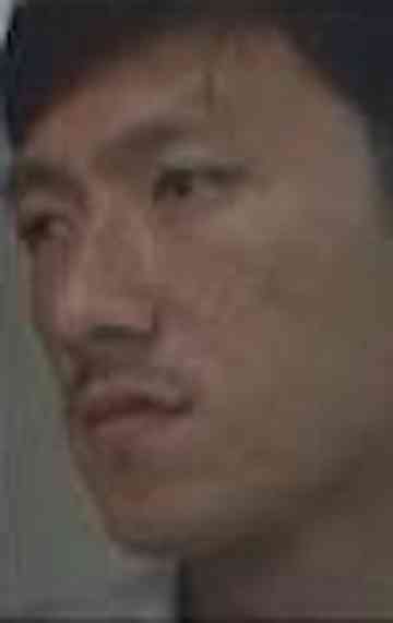 Love for Dogs Poster