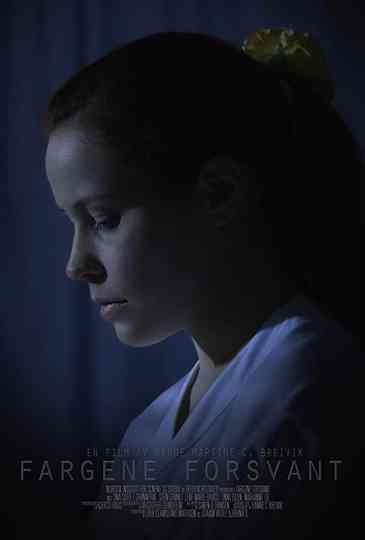 Fargene Forsvant Poster