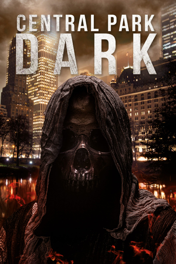 Central Park Dark Poster