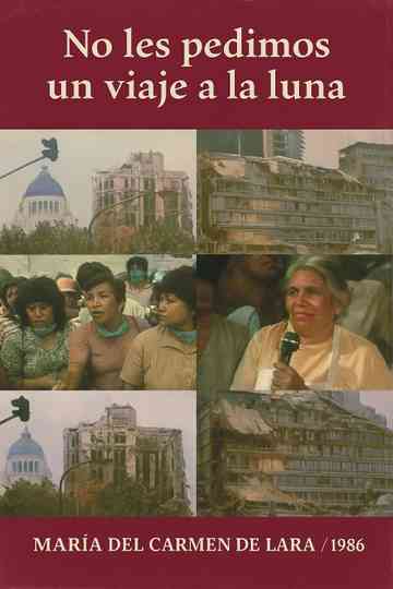 We Don't Ask You for a Trip to the Moon Poster