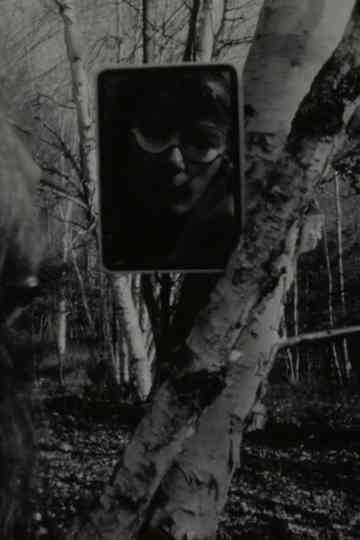 Transformations Poster