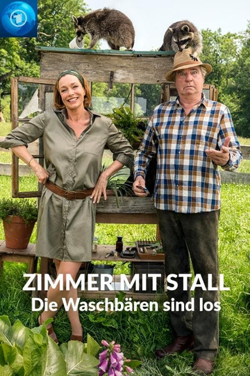 Zimmer mit Stall - Die Waschbären sind los