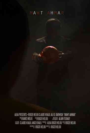 A Shot In The Dark Poster