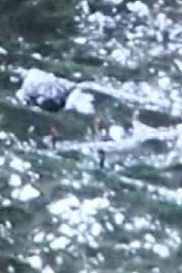 Dogs, Moon River + Baudelaire Poster