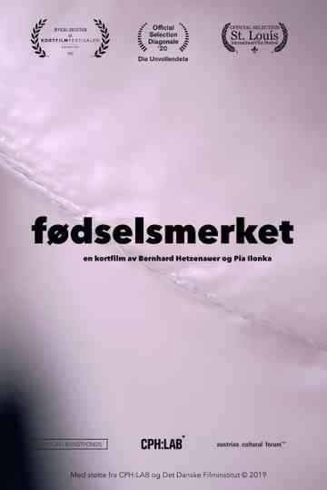 The Birthmark Poster