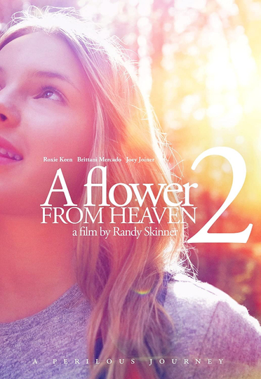 A Flower from Heaven 2: A Perilous Journey Poster