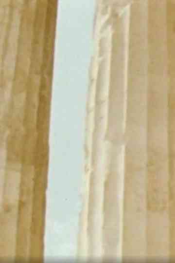 Chronique Atopique Poster