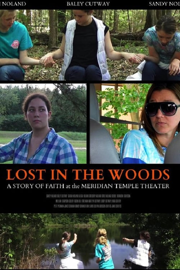 Lost in the Woods Poster