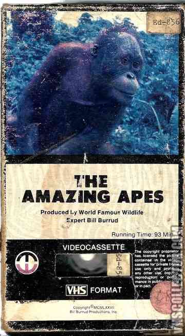 The Amazing Apes Poster