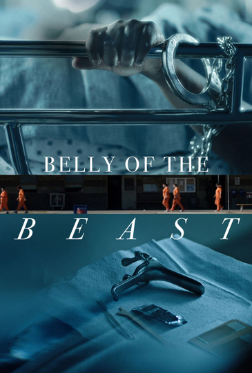 Belly of the Beast Poster