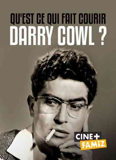 Qu'est-ce qui fait courir Darry Cowl ? Poster