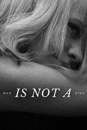 Man Is Not a Bird Poster