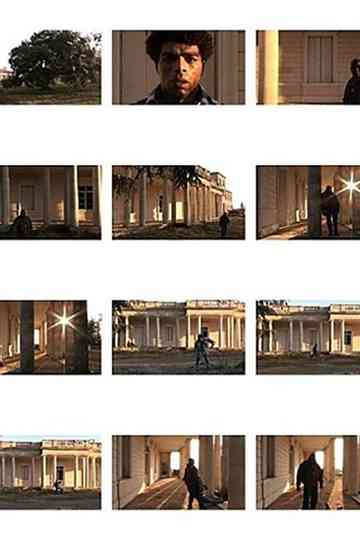 The White House Poster