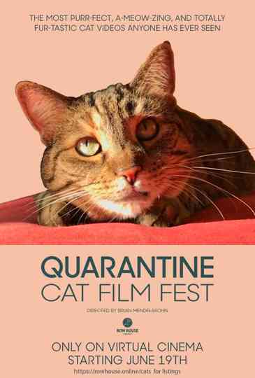 Quarantine Cat Film Festival Poster