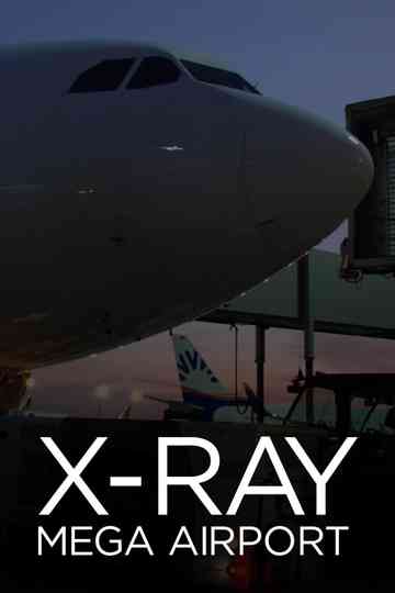 X-Ray Mega Airport Poster