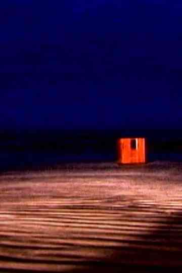 Ernesto Neto Nós Pescando o Tempo  Investigações Poster