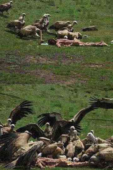 Celestial Burial Poster