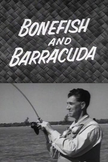 Bonefish and Barracuda