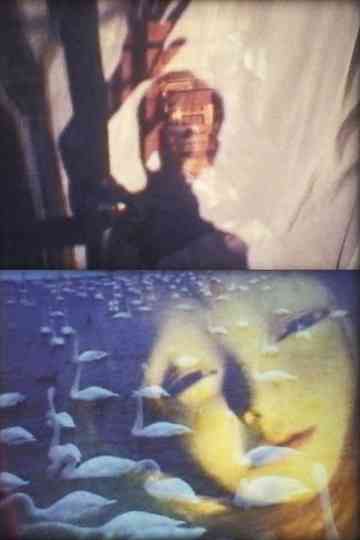 Filmletter★oufuku IV poster