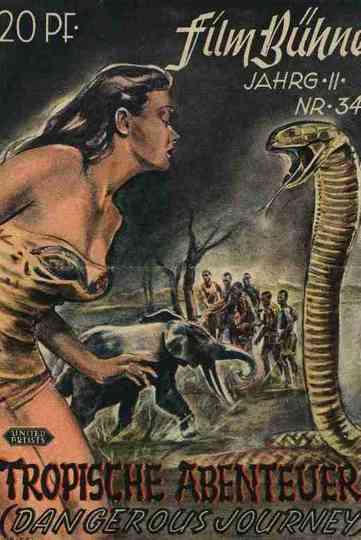 Dangerous Journey Poster