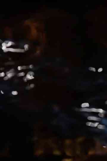 elegy for ophelia Poster