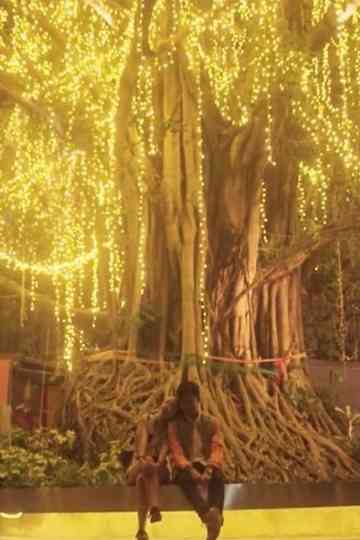 February Wind Poster