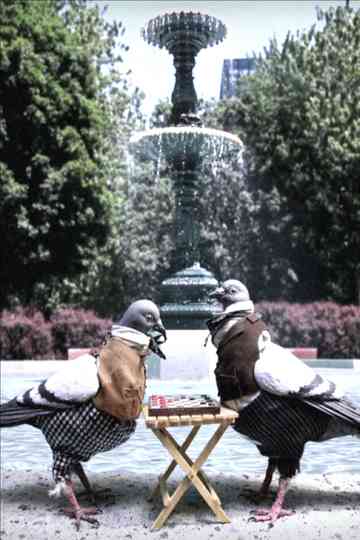 Saint-Louis Square Poster