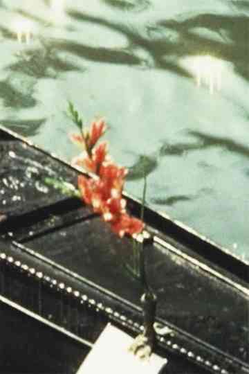 Home Movies  RomeFlorenceVeniceGreece Poster