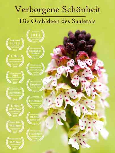 Hidden Beauty - The Orchids of the Saale Valley Poster