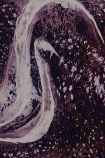 Interior Garden II Poster